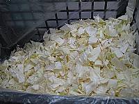 營養午餐廠商訪視