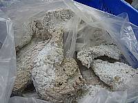 營養午餐廠商訪視