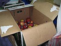 營養午餐廠商訪視