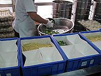 營養午餐廠商訪視