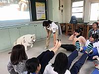 108學年度締結國外姐妹校暨國際筆友計畫~狗醫生到校宣導動物保育及生命教育