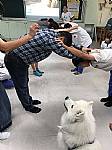 108學年度締結國外姐妹校暨國際筆友計畫~狗醫生到校宣導動物保育及生命教育