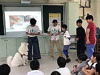 108學年度締結國外姐妹校暨國際筆友計畫~狗醫生到校宣導動物保育及生命教育