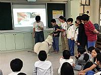 108學年度締結國外姐妹校暨國際筆友計畫~狗醫生到校宣導動物保育及生命教育