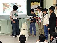 108學年度締結國外姐妹校暨國際筆友計畫~狗醫生到校宣導動物保育及生命教育