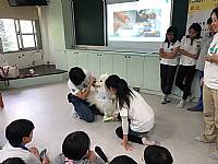 108學年度締結國外姐妹校暨國際筆友計畫~狗醫生到校宣導動物保育及生命教育