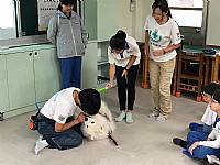 108學年度締結國外姐妹校暨國際筆友計畫~狗醫生到校宣導動物保育及生命教育