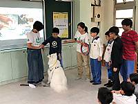 108學年度締結國外姐妹校暨國際筆友計畫~狗醫生到校宣導動物保育及生命教育