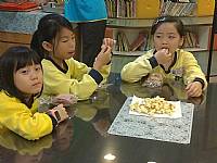 1081128種子大驚奇-爆米花迸出新滋味