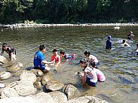 童軍團露營活動