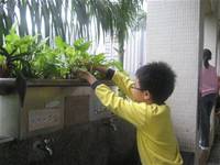 建安小小園丁開工了