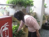 建安小小園丁開工了