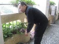 建安小小園丁開工了