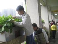 建安小小園丁開工了