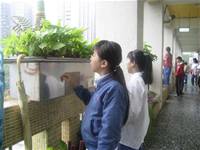 建安小小園丁開工了