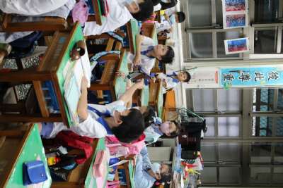 1091117 晨間說故事：繪本-種子下哈哈 延伸活動