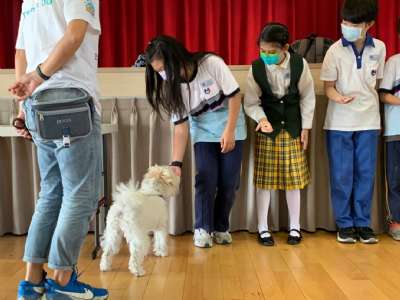 110特教輔導宣導系列~認識狗醫生