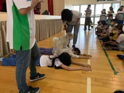 110特教輔導宣導系列~認識狗醫生
