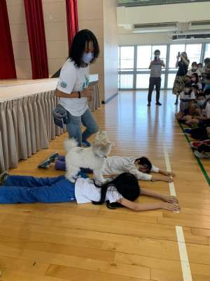 110特教輔導宣導系列~認識狗醫生