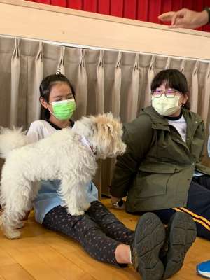 110特教輔導宣導系列~認識狗醫生