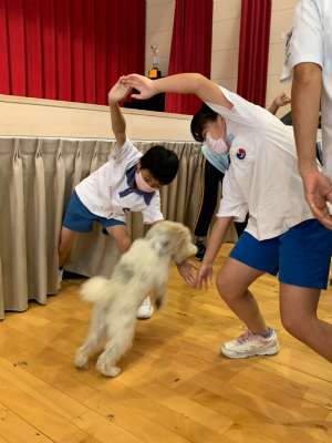 110特教輔導宣導系列~認識狗醫生