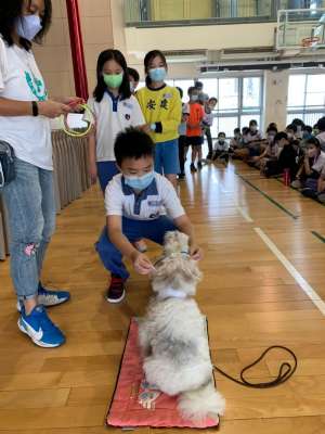 110特教輔導宣導系列~認識狗醫生