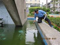 1001220建置生態池