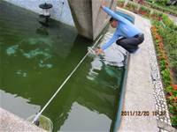 1001220建置生態池