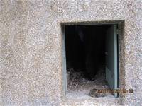 1001220建置生態池