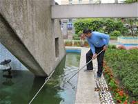 1001220建置生態池