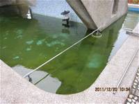 1001220建置生態池