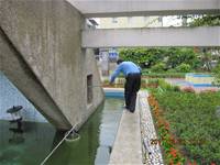 1001220建置生態池