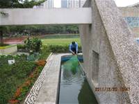 1001220建置生態池