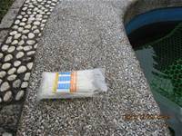 1001220建置生態池