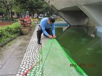 1001220建置生態池