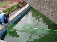 1001220建置生態池