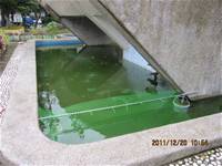 1001220建置生態池