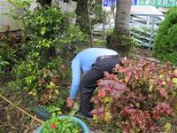 1001220建置生態池