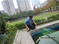 1001220建置生態池