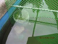 1001220建置生態池