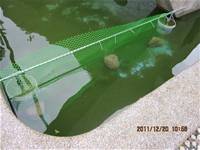 1001220建置生態池