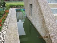 1001220建置生態池