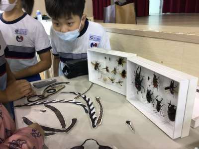 111學年度中年級昆蟲寶可夢環境教育講座