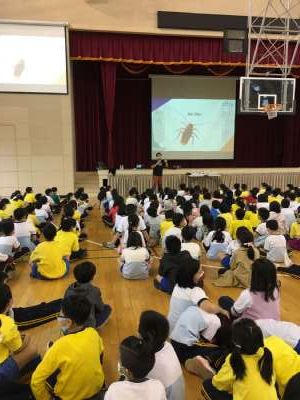 111學年度中年級昆蟲寶可夢環境教育講座