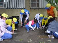 1001220小園丁團實務工作_Park4