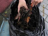 1001220小園丁團實務工作_Park4