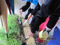 1001223小園丁團實務工作_park5