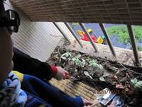 1001223小園丁團實務工作_park5