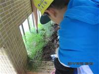 1001223小園丁團實務工作_park5