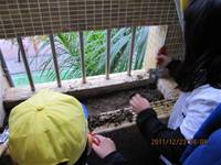 1001223小園丁團實務工作_park5